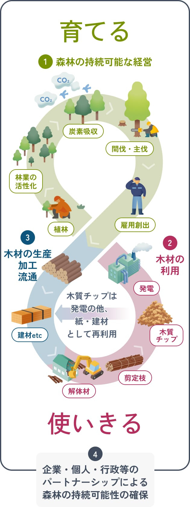 「育てる」と「使いきる」を繰り返すことで成り立つ、健康的な森のサイクルを表した図。このサイクルは「森林の持続可能な経営」「木材の生産・加工・流通（建材etc）」「木材の利用」「企業・個人・行政等のパートナーシップによる森林の持続可能性の確保」－の４フェーズで構成され、ループしている。「森林の持続可能な経営」とは、間伐・主伐や、それに伴う雇用創出を指す。建材などの「木材の生産・加工・流通」を経て、「木材の利用」が行われる。具体的には、解体材・剪定枝を木質チップへ加工し、発電や紙・建材として再利用すること。そして、「企業・個人・行政等のパートナーシップによる森林の持続可能性の確保」ー植林し、林業を活性化させ、その森が炭素を吸収する、という流れに続く。