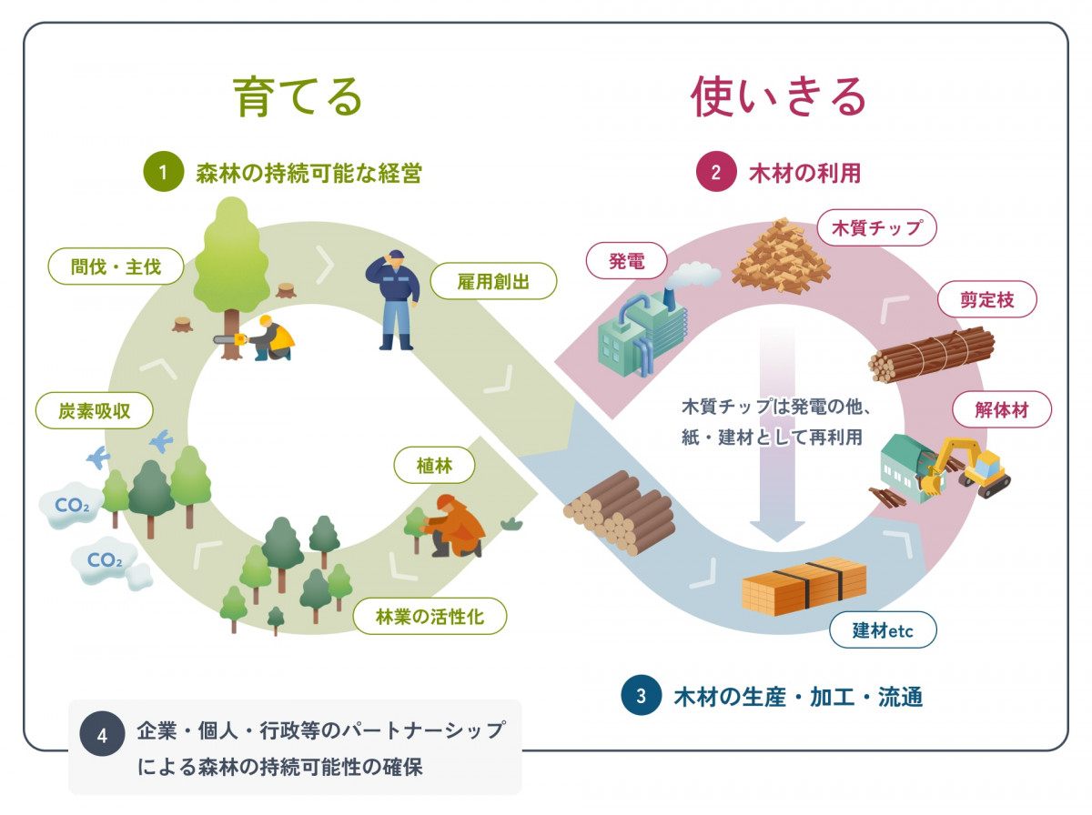 「育てる」と「使いきる」を繰り返すことで成り立つ、健康的な森のサイクルを表した図。このサイクルは「森林の持続可能な経営」「木材の生産・加工・流通（建材etc）」「木材の利用」「企業・個人・行政等のパートナーシップによる森林の持続可能性の確保」－の４フェーズで構成され、ループしている。「森林の持続可能な経営」とは、間伐・主伐や、それに伴う雇用創出を指す。建材などの「木材の生産・加工・流通」を経て、「木材の利用」が行われる。具体的には、解体材・剪定枝を木質チップへ加工し、発電や紙・建材として再利用すること。そして、「企業・個人・行政等のパートナーシップによる森林の持続可能性の確保」ー植林し、林業を活性化させ、その森が炭素を吸収する、という流れに続く。