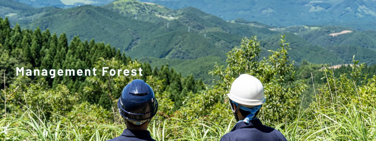 management forest