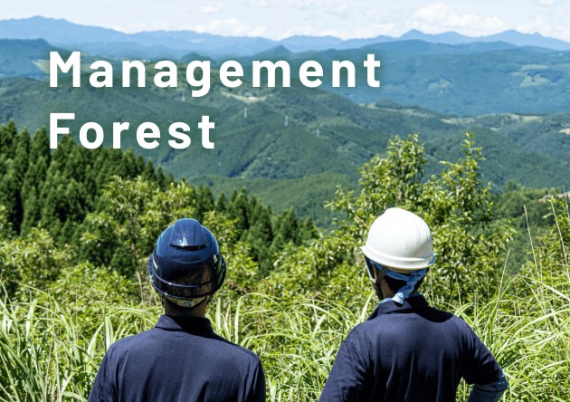 management forest