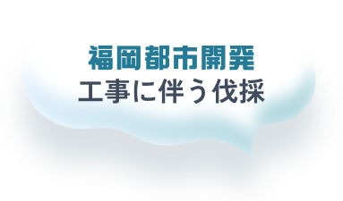 福岡都市開発 工事に伴う伐採